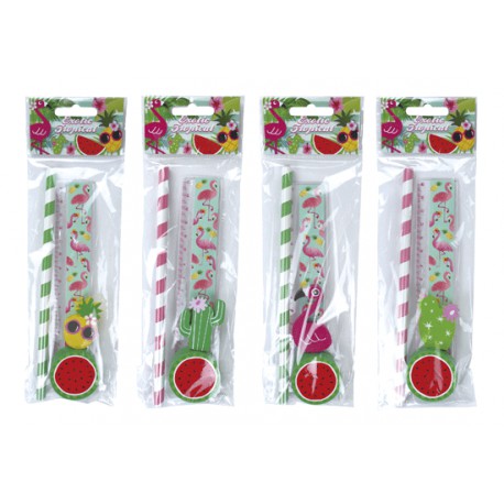 SET 4PCS PAPELERÍA TROPICAL EXOTIC